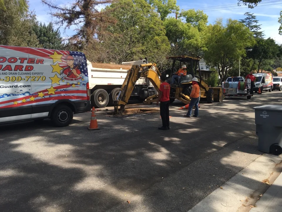 Terms and Conditions